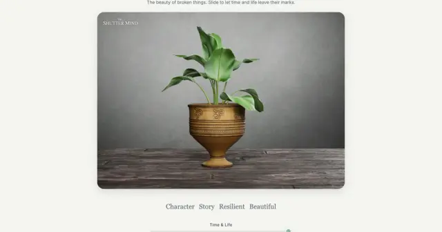 Wabi-Sabi