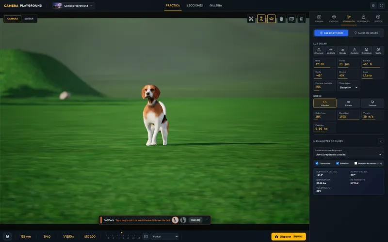Un beagle en el pasto del Pet Park, fotografiado a 135 mm desde 55 cm del suelo