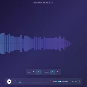 Spatial Audio Transformer