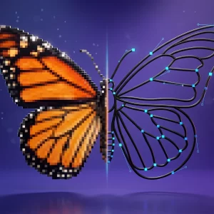 Image Vectorizer